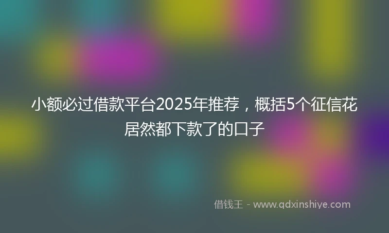小额必过借款平台2025年推荐，概括5个征信花居然都下款了的口子