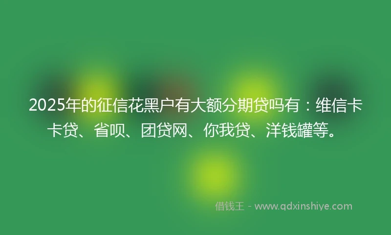 2025年的征信花黑户有大额分期贷吗有：维信卡卡贷、省呗、团贷网、你我贷、洋钱罐等。