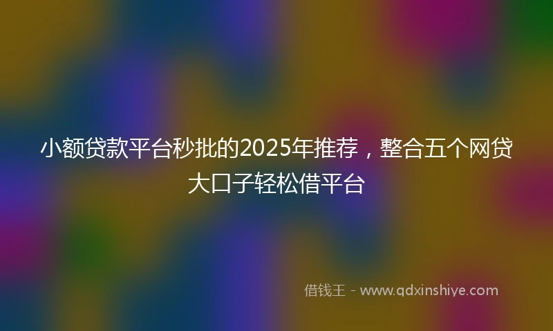 小额贷款平台秒批的2025年推荐，整合五个网贷大口子轻松借平台
