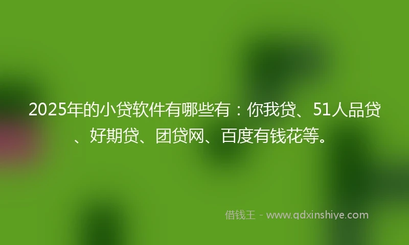 2025年的小贷软件有哪些有：你我贷、51人品贷、好期贷、团贷网、百度有钱花等。