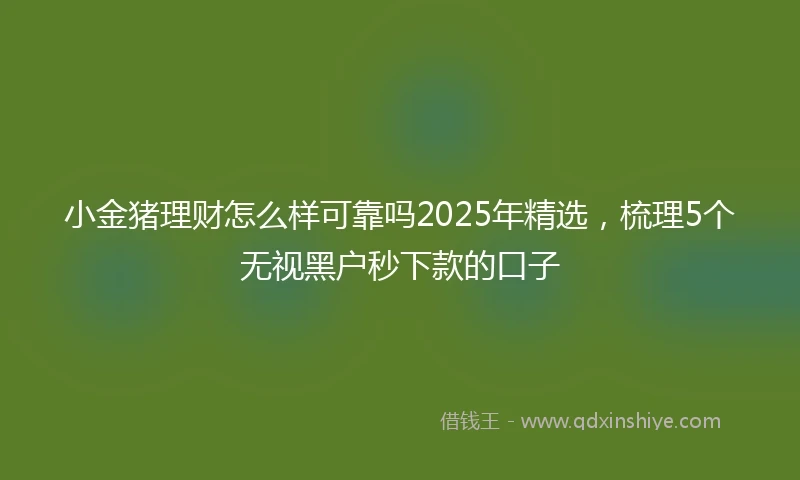 小金猪理财怎么样可靠吗2025年精选，梳理5个无视黑户秒下款的口子