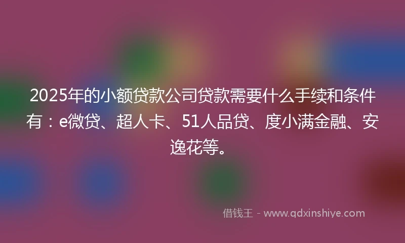2025年的小额贷款公司贷款需要什么手续和条件有：e微贷、超人卡、51人品贷、度小满金融、安逸花等。