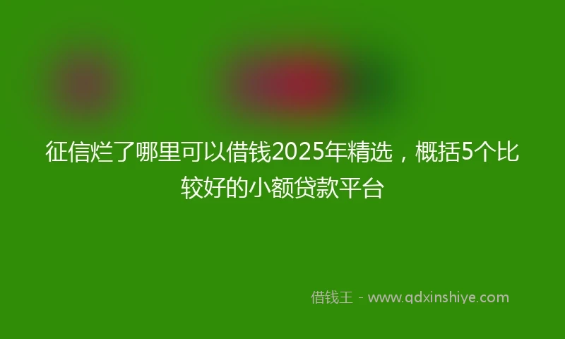 征信烂了哪里可以借钱2025年精选，概括5个比较好的小额贷款平台
