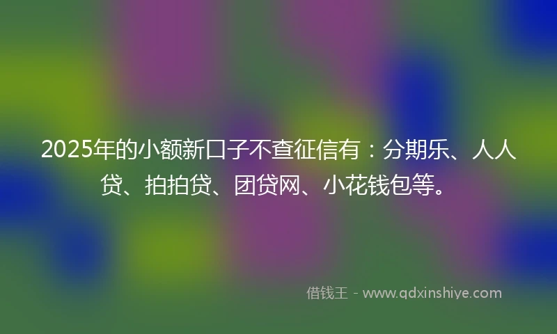 2025年的小额新口子不查征信有：分期乐、人人贷、拍拍贷、团贷网、小花钱包等。