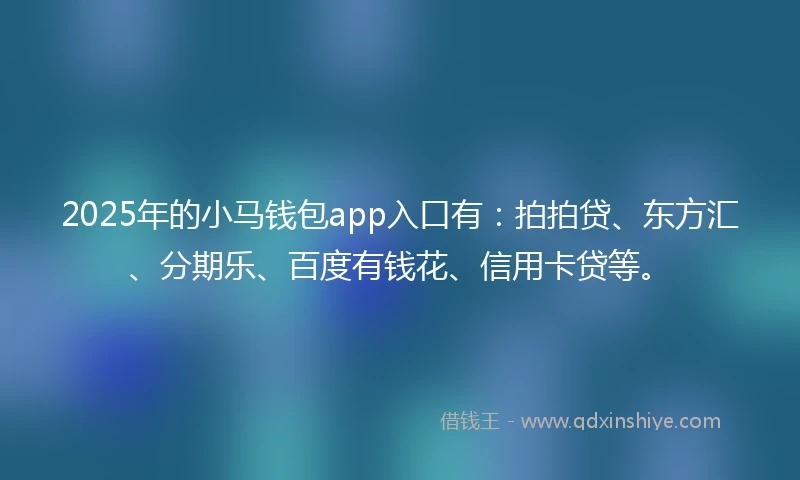 2025年的小马钱包app入口有：拍拍贷、东方汇、分期乐、百度有钱花、信用卡贷等。