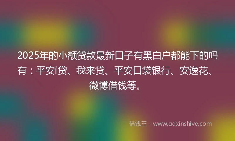2025年的小额贷款最新口子有黑白户都能下的吗有：平安i贷、我来贷、平安口袋银行、安逸花、微博借钱等。