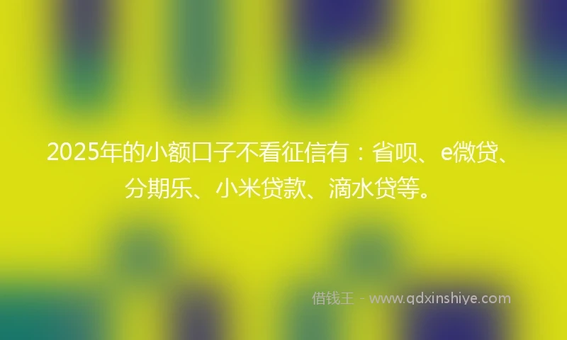 2025年的小额口子不看征信有：省呗、e微贷、分期乐、小米贷款、滴水贷等。