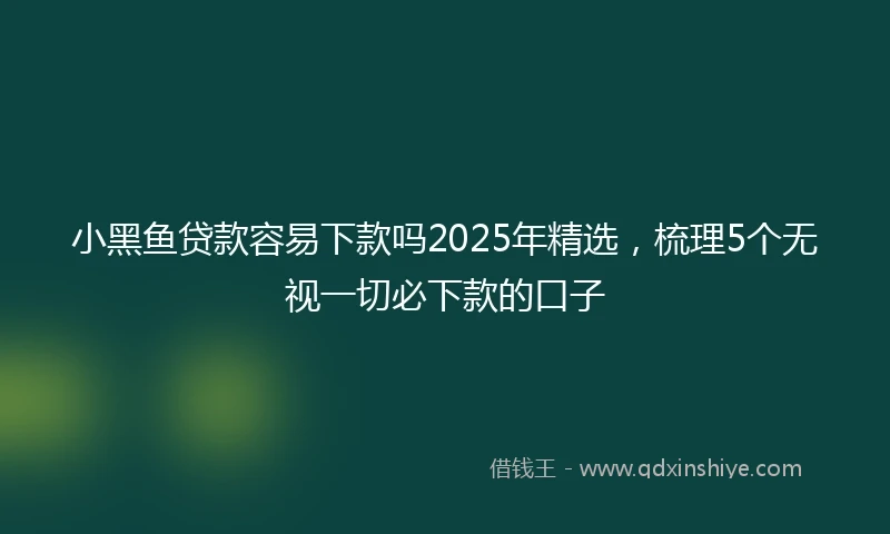 小黑鱼贷款容易下款吗2025年精选，梳理5个无视一切必下款的口子