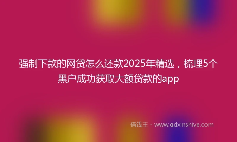 强制下款的网贷怎么还款2025年精选，梳理5个黑户成功获取大额贷款的app