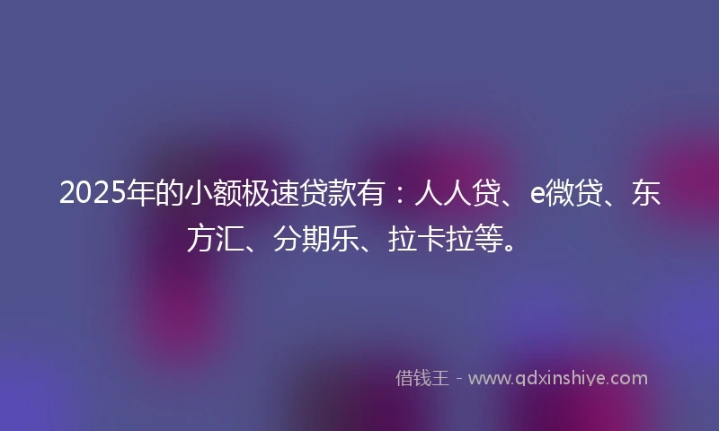 2025年的小额极速贷款有：人人贷、e微贷、东方汇、分期乐、拉卡拉等。