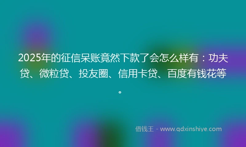 2025年的征信呆账竟然下款了会怎么样有：功夫贷、微粒贷、投友圈、信用卡贷、百度有钱花等。
