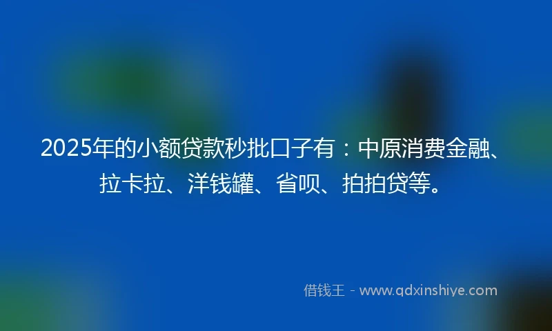 2025年的小额贷款秒批口子有：中原消费金融、拉卡拉、洋钱罐、省呗、拍拍贷等。