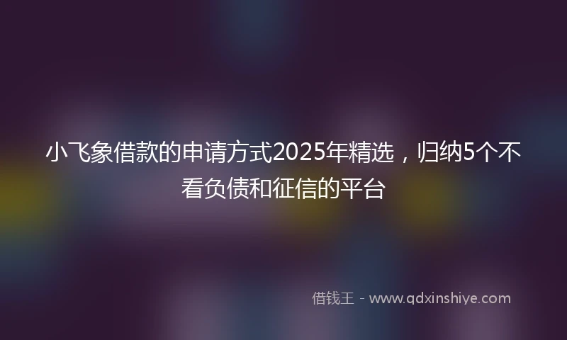 小飞象借款的申请方式2025年精选，归纳5个不看负债和征信的平台