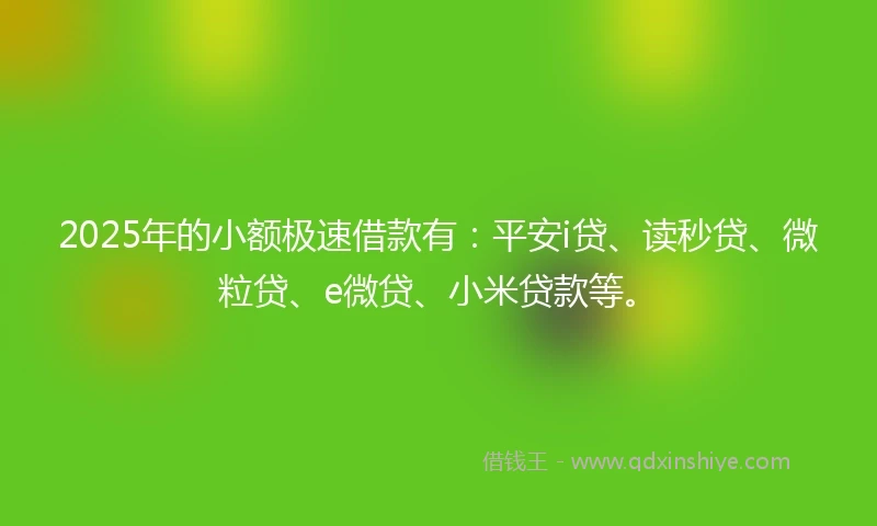 2025年的小额极速借款有：平安i贷、读秒贷、微粒贷、e微贷、小米贷款等。