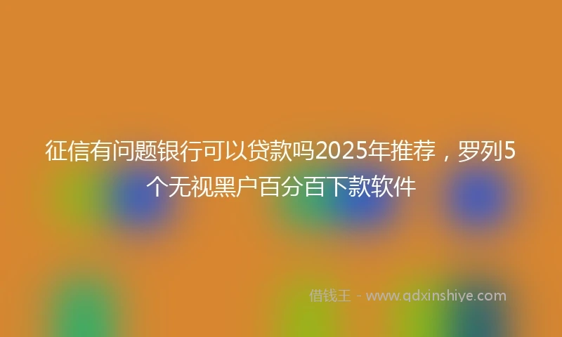 征信有问题银行可以贷款吗2025年推荐,罗列5个无视黑户百分百下款软件