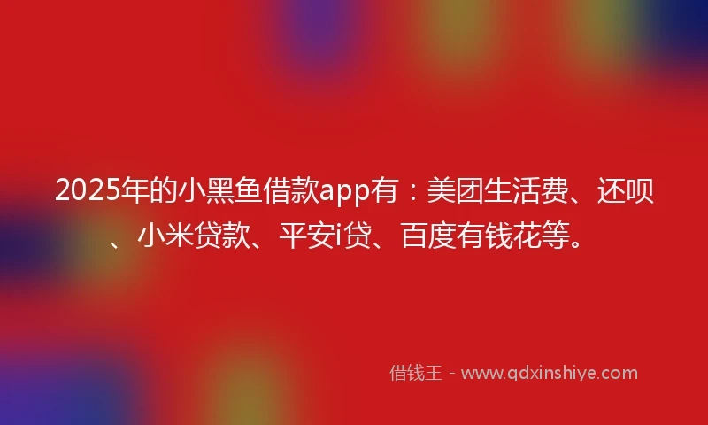 2025年的小黑鱼借款app有：美团生活费、还呗、小米贷款、平安i贷、百度有钱花等。