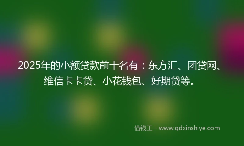 2025年的小额贷款前十名有：东方汇、团贷网、维信卡卡贷、小花钱包、好期贷等。