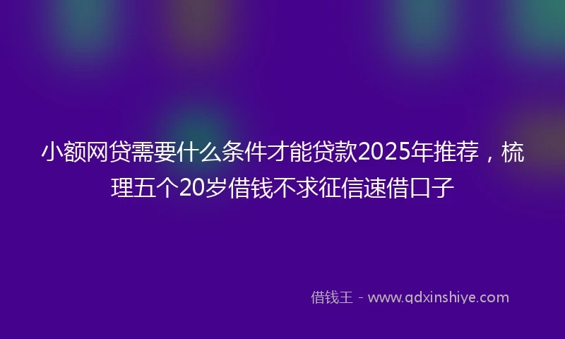 小额网贷需要什么条件才能贷款2025年推荐，梳理五个20岁借钱不求征信速借口子