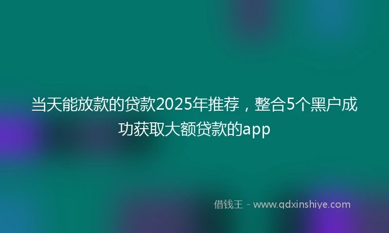 当天能放款的贷款2025年推荐，整合5个黑户成功获取大额贷款的app