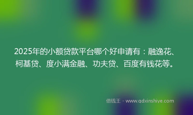 2025年的小额贷款平台哪个好申请有：融逸花、柯基贷、度小满金融、功夫贷、百度有钱花等。