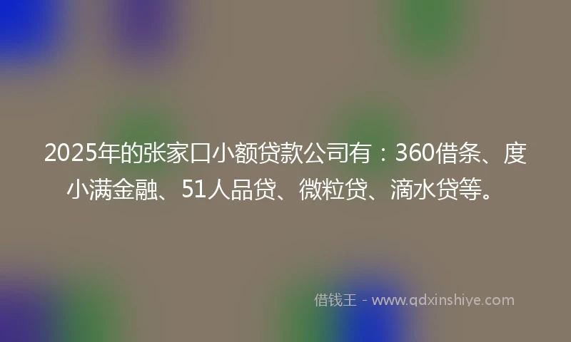 2025年的张家口小额贷款公司有：360借条、度小满金融、51人品贷、微粒贷、滴水贷等。