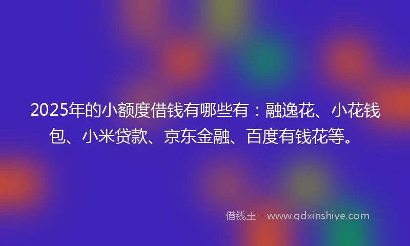 2025年的小额度借钱有哪些有：融逸花、小花钱包、小米贷款、京东金融、百度有钱花等。