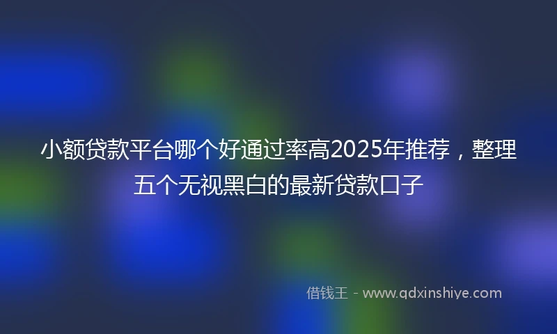小额贷款平台哪个好通过率高2025年推荐，整理五个无视黑白的最新贷款口子
