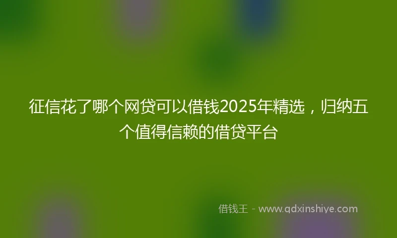 征信花了哪个网贷可以借钱2025年精选，归纳五个值得信赖的借贷平台