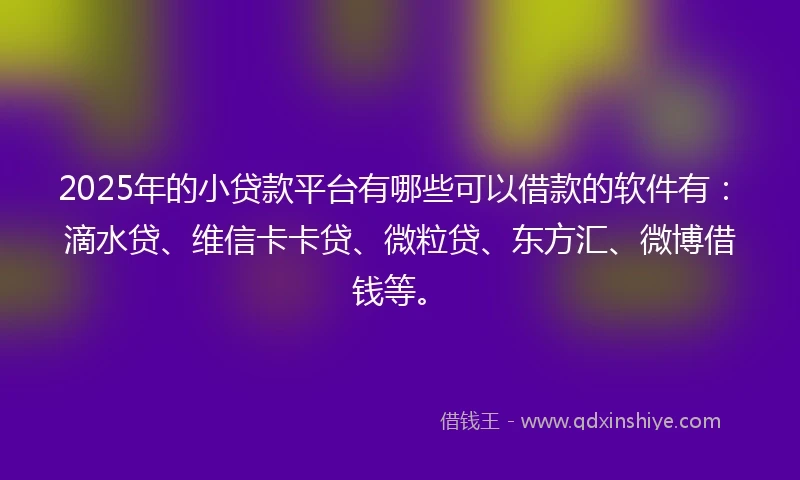 2025年的小贷款平台有哪些可以借款的软件有：滴水贷、维信卡卡贷、微粒贷、东方汇、微博借钱等。