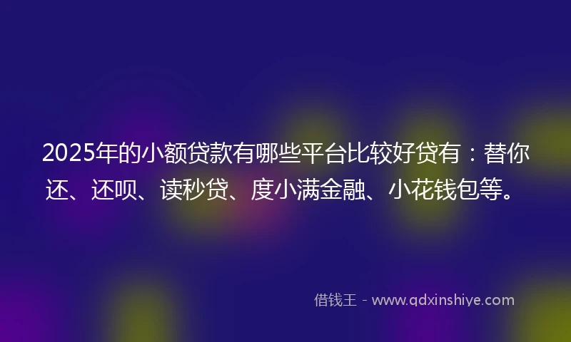 2025年的小额贷款有哪些平台比较好贷有：替你还、还呗、读秒贷、度小满金融、小花钱包等。