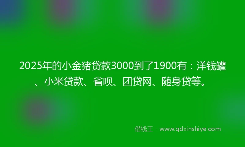 2025年的小金猪贷款3000到了1900有：洋钱罐、小米贷款、省呗、团贷网、随身贷等。