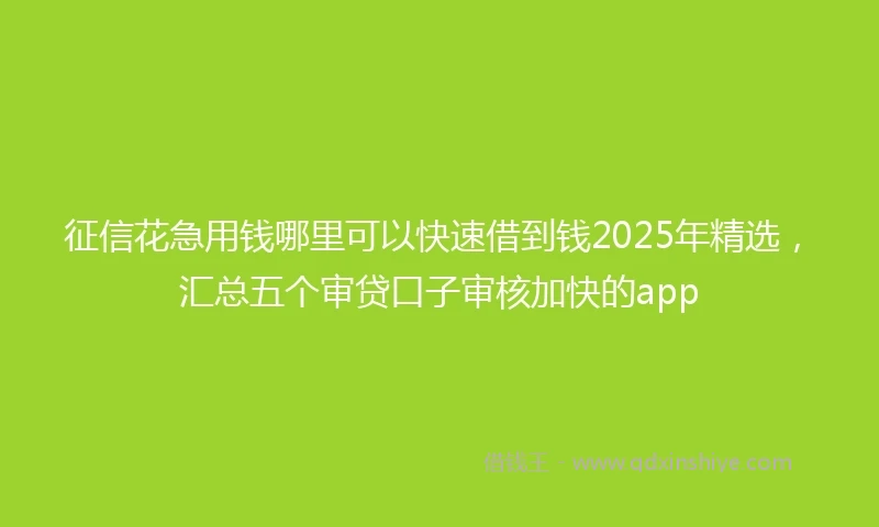 征信花急用钱哪里可以快速借到钱2025年精选，汇总五个审贷口子审核加快的app