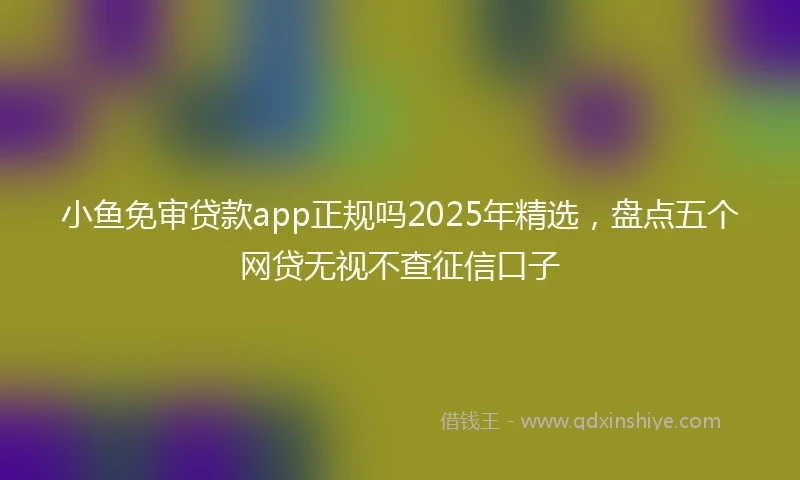 小鱼免审贷款app正规吗2025年精选，盘点五个网贷无视不查征信口子