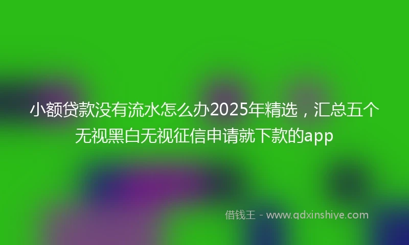 小额贷款没有流水怎么办2025年精选，汇总五个无视黑白无视征信申请就下款的app