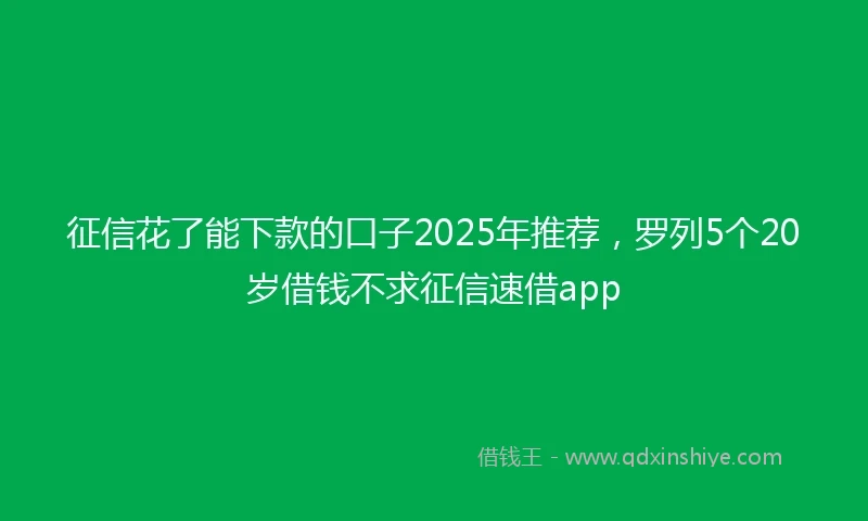征信花了能下款的口子2025年推荐,罗列5个20岁借钱不求征信速借app