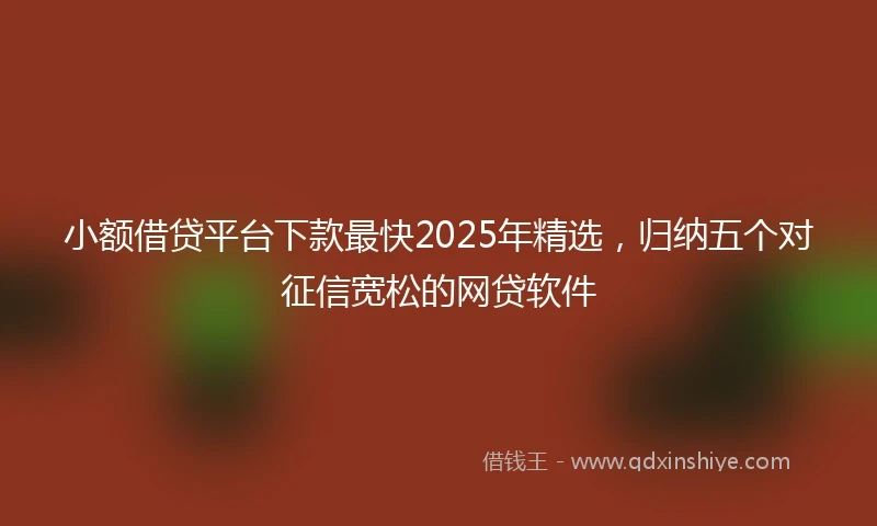 小额借贷平台下款最快2025年精选，归纳五个对征信宽松的网贷软件