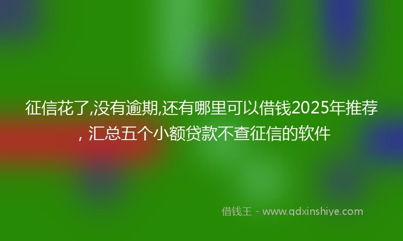征信花了,没有逾期,还有哪里可以借钱2025年推荐，汇总五个小额贷款不查征信的软件
