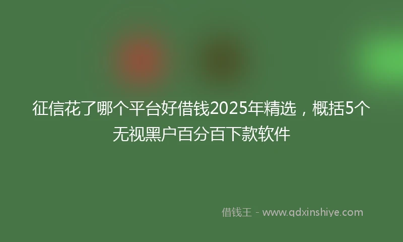征信花了哪个平台好借钱2025年精选，概括5个无视黑户百分百下款软件