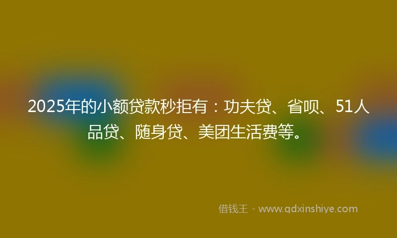 2025年的小额贷款秒拒有：功夫贷、省呗、51人品贷、随身贷、美团生活费等。