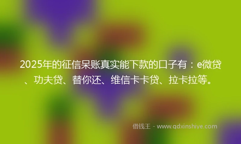 2025年的征信呆账真实能下款的口子有:e微贷、功夫贷、替你还、维信卡卡贷、拉卡拉等。