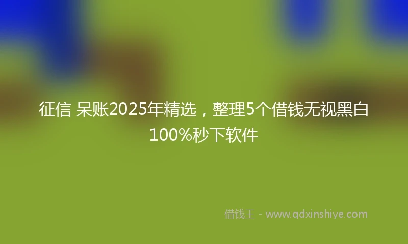 征信 呆账2025年精选，整理5个借钱无视黑白100%秒下软件