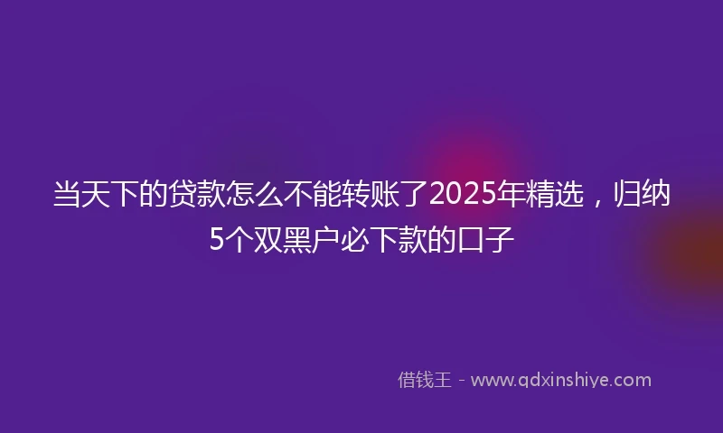 当天下的贷款怎么不能转账了2025年精选,归纳5个双黑户必下款的口子