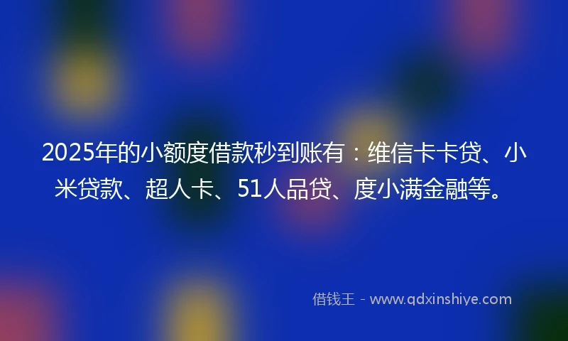 2025年的小额度借款秒到账有：维信卡卡贷、小米贷款、超人卡、51人品贷、度小满金融等。