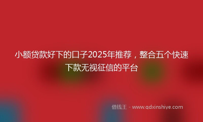 小额贷款好下的口子2025年推荐，整合五个快速下款无视征信的平台