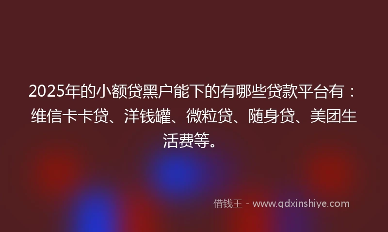 2025年的小额贷黑户能下的有哪些贷款平台有：维信卡卡贷、洋钱罐、微粒贷、随身贷、美团生活费等。