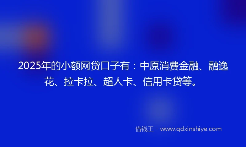 2025年的小额网贷口子有：中原消费金融、融逸花、拉卡拉、超人卡、信用卡贷等。