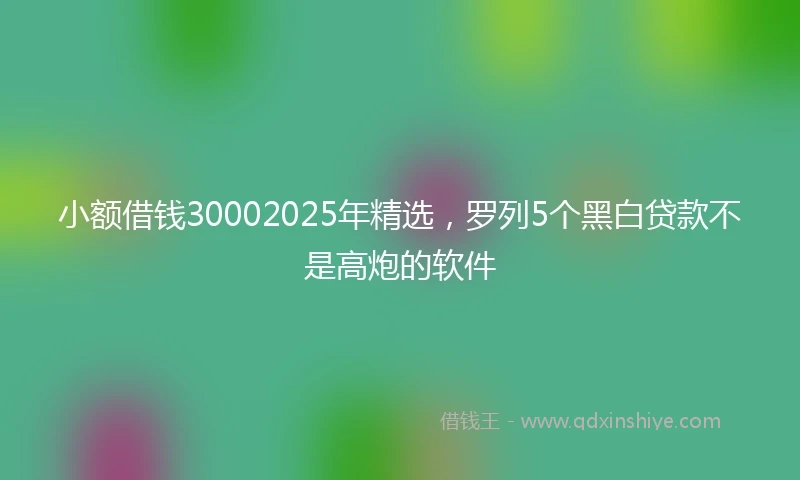 小额借钱30002025年精选，罗列5个黑白贷款不是高炮的软件