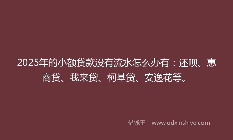 2025年的小额贷款没有流水怎么办有：还呗、惠商贷、我来贷、柯基贷、安逸花等。