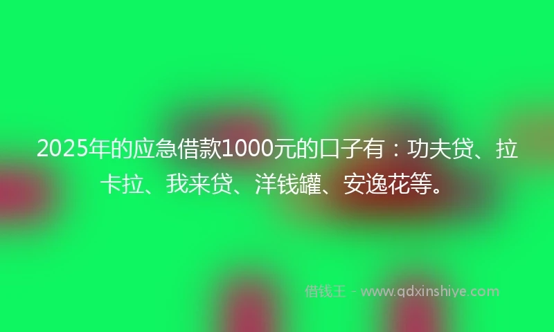 2025年的应急借款1000元的口子有：功夫贷、拉卡拉、我来贷、洋钱罐、安逸花等。