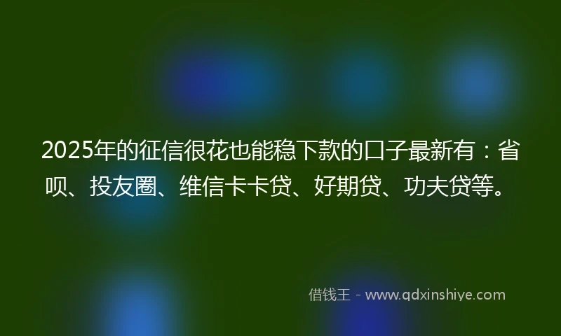 2025年的征信很花也能稳下款的口子最新有：省呗、投友圈、维信卡卡贷、好期贷、功夫贷等。